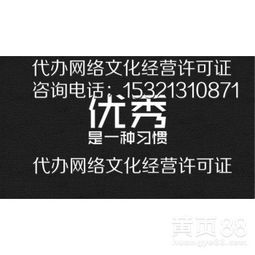 探析北京网络文化经营的现状、挑战与未来发展路径